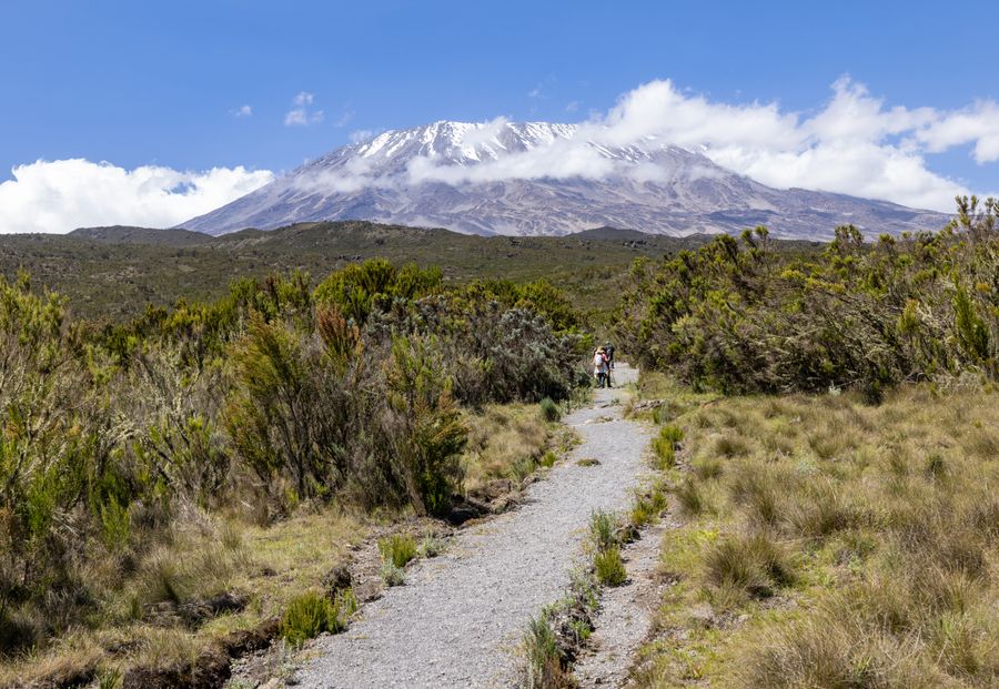 Mount Kilimanjaro